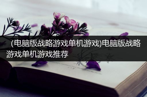 （电脑版战略游戏单机游戏)电脑版战略游戏单机游戏推荐