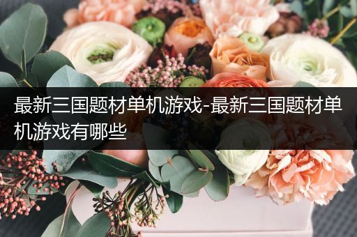 最新三国题材单机游戏-最新三国题材单机游戏有哪些