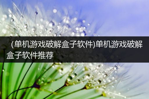 （单机游戏破解盒子软件)单机游戏破解盒子软件推荐