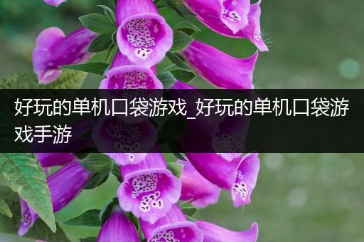 好玩的单机口袋游戏_好玩的单机口袋游戏手游