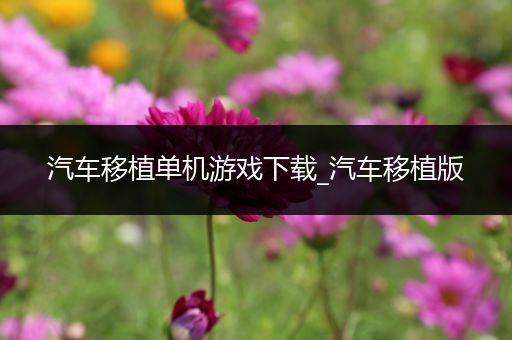 汽车移植单机游戏下载_汽车移植版