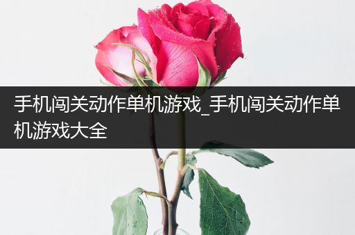 手机闯关动作单机游戏_手机闯关动作单机游戏大全