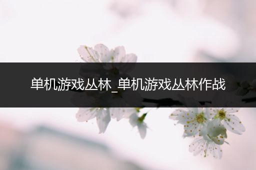 单机游戏丛林_单机游戏丛林作战