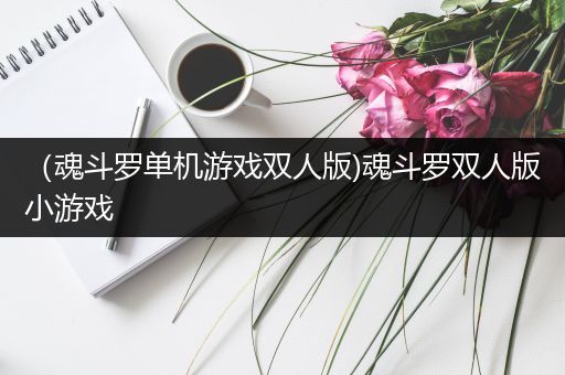 （魂斗罗单机游戏双人版)魂斗罗双人版小游戏