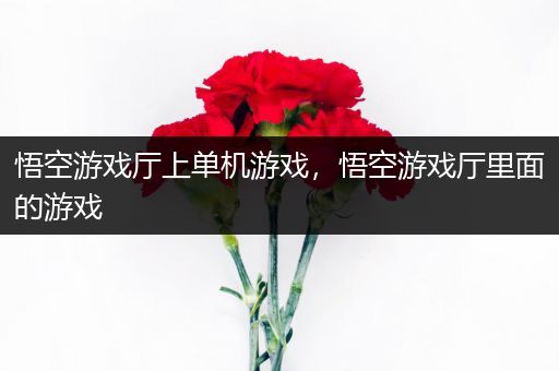 悟空游戏厅上单机游戏，悟空游戏厅里面的游戏