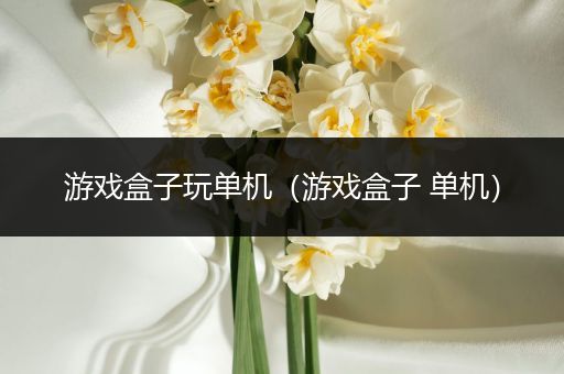 游戏盒子玩单机（游戏盒子 单机）