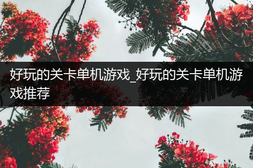 好玩的关卡单机游戏_好玩的关卡单机游戏推荐
