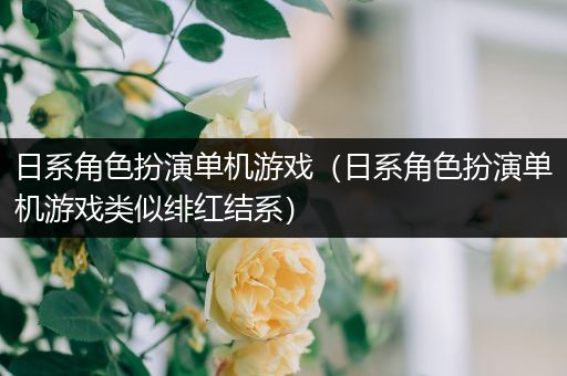 日系角色扮演单机游戏（日系角色扮演单机游戏类似绯红结系）