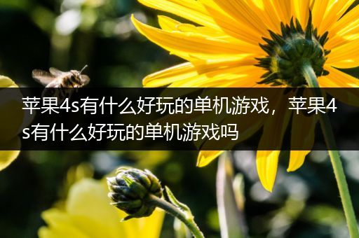 苹果4s有什么好玩的单机游戏，苹果4s有什么好玩的单机游戏吗