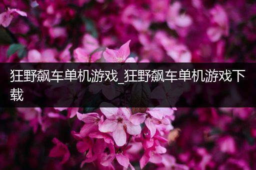 狂野飙车单机游戏_狂野飙车单机游戏下载
