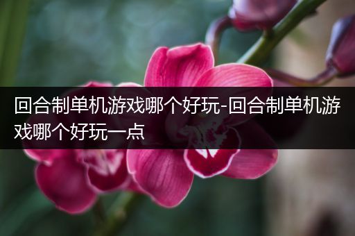 回合制单机游戏哪个好玩-回合制单机游戏哪个好玩一点