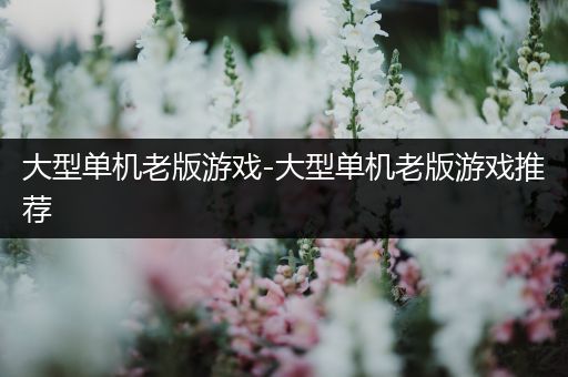 大型单机老版游戏-大型单机老版游戏推荐