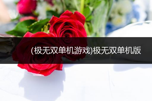 （极无双单机游戏)极无双单机版