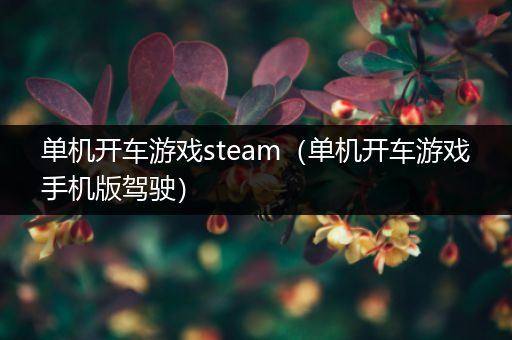单机开车游戏steam（单机开车游戏手机版驾驶）