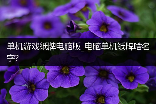 单机游戏纸牌电脑版_电脑单机纸牌啥名字?
