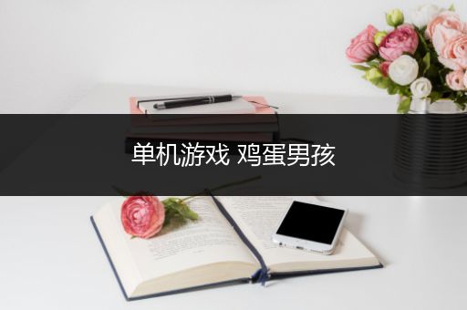 单机游戏 鸡蛋男孩