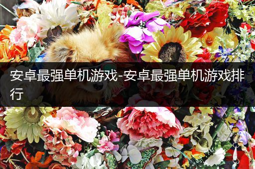 安卓最强单机游戏-安卓最强单机游戏排行