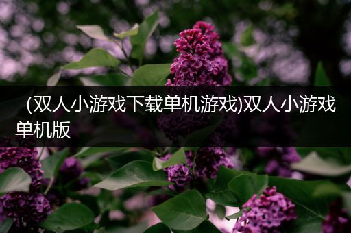 （双人小游戏下载单机游戏)双人小游戏单机版