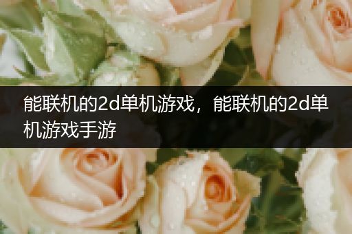 能联机的2d单机游戏，能联机的2d单机游戏手游