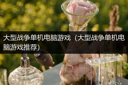 大型战争单机电脑游戏（大型战争单机电脑游戏推荐）
