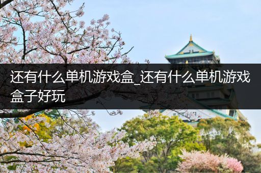 还有什么单机游戏盒_还有什么单机游戏盒子好玩