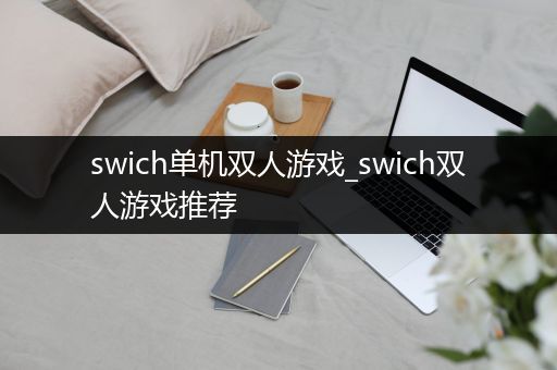 swich单机双人游戏_swich双人游戏推荐