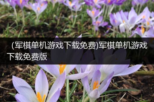（军棋单机游戏下载免费)军棋单机游戏下载免费版