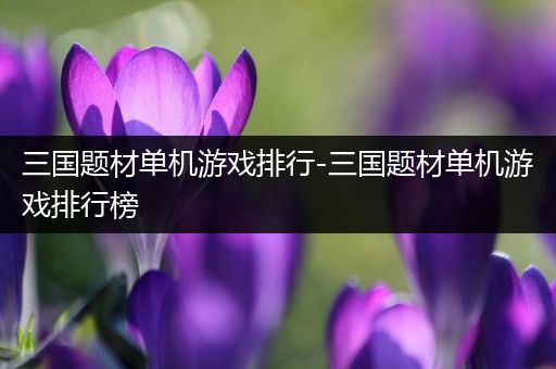 三国题材单机游戏排行-三国题材单机游戏排行榜