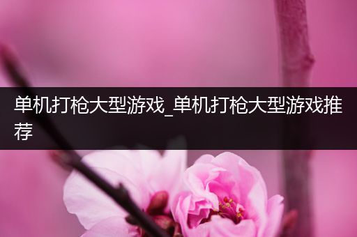 单机打枪大型游戏_单机打枪大型游戏推荐