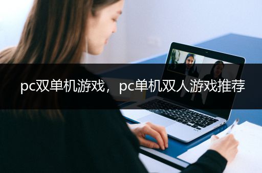 pc双单机游戏，pc单机双人游戏推荐