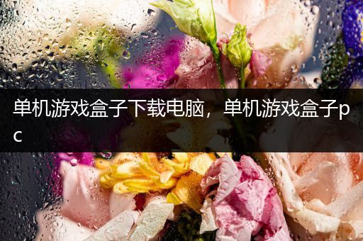 单机游戏盒子下载电脑，单机游戏盒子pc