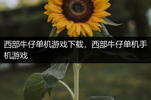 西部牛仔单机游戏下载，西部牛仔单机手机游戏