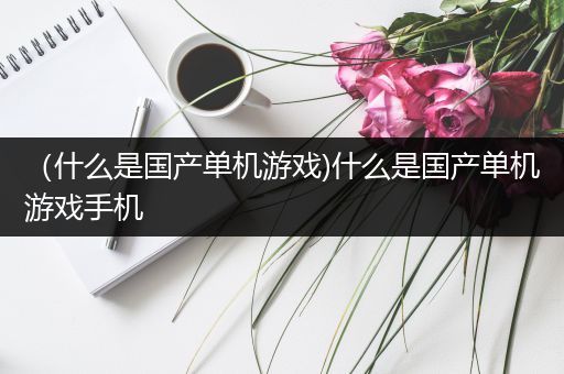 （什么是国产单机游戏)什么是国产单机游戏手机