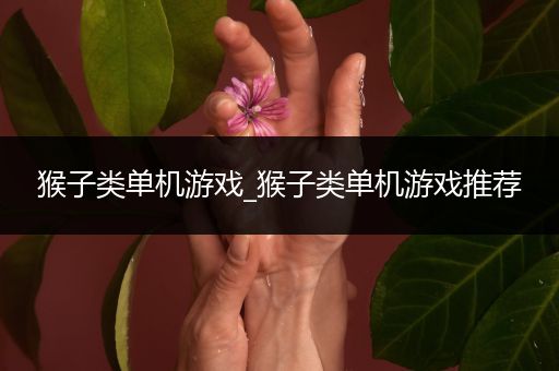猴子类单机游戏_猴子类单机游戏推荐