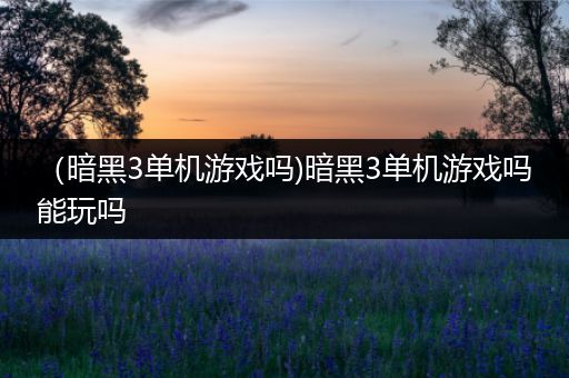 （暗黑3单机游戏吗)暗黑3单机游戏吗能玩吗