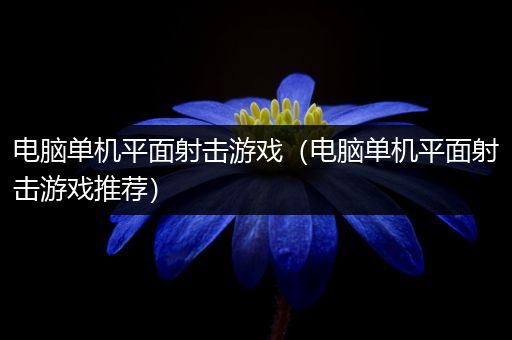 电脑单机平面射击游戏（电脑单机平面射击游戏推荐）