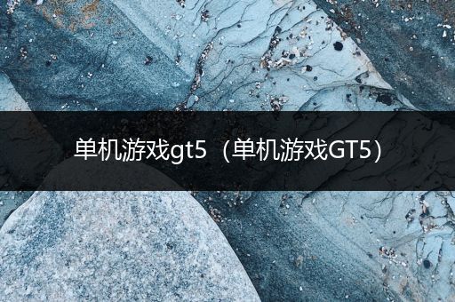 单机游戏gt5（单机游戏GT5）