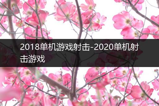 2018单机游戏射击-2020单机射击游戏