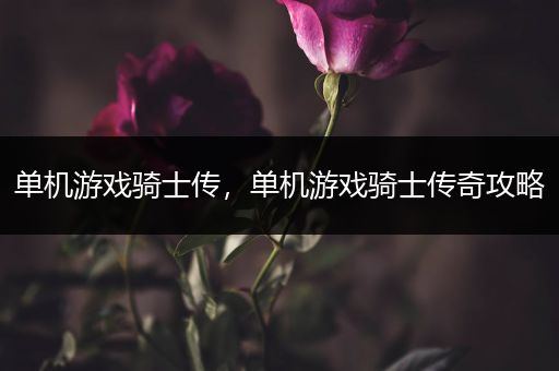 单机游戏骑士传，单机游戏骑士传奇攻略