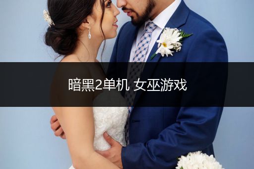 暗黑2单机 女巫游戏