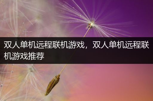 双人单机远程联机游戏，双人单机远程联机游戏推荐