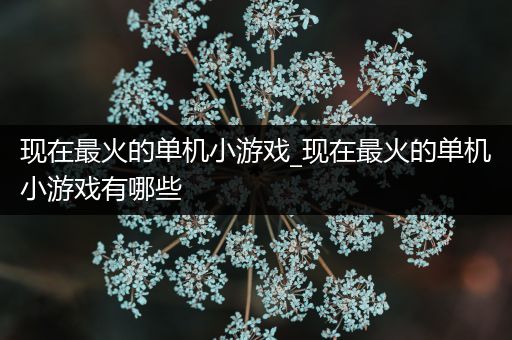 现在最火的单机小游戏_现在最火的单机小游戏有哪些
