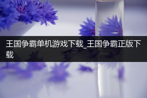 王国争霸单机游戏下载_王国争霸正版下载