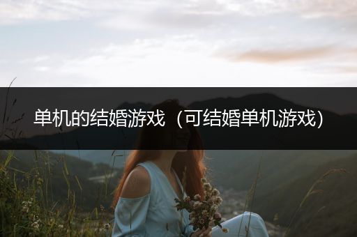 单机的结婚游戏（可结婚单机游戏）