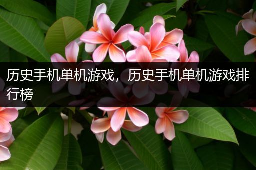 历史手机单机游戏，历史手机单机游戏排行榜