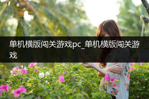 单机横版闯关游戏pc_单机横版闯关游戏
