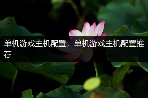 单机游戏主机配置，单机游戏主机配置推荐