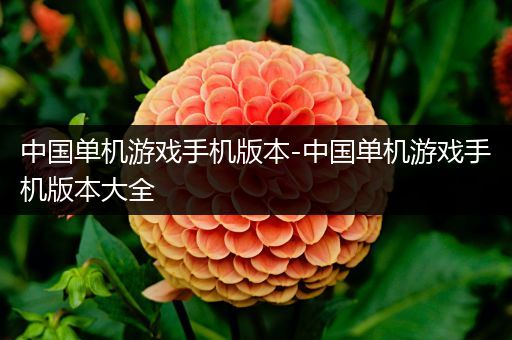 中国单机游戏手机版本-中国单机游戏手机版本大全