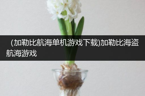 （加勒比航海单机游戏下载)加勒比海盗航海游戏