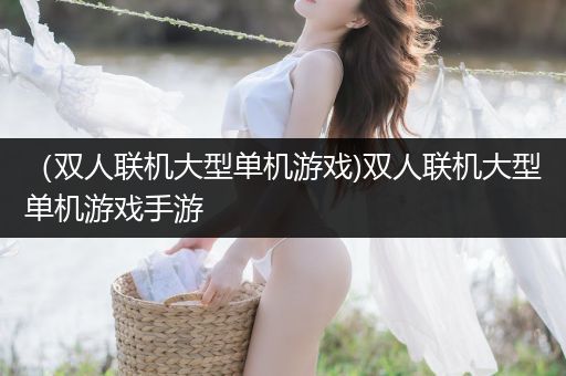 （双人联机大型单机游戏)双人联机大型单机游戏手游